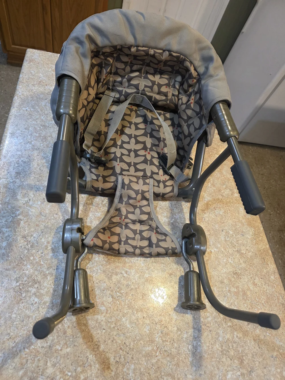 Portable Booster Chair - Picture 1 of 5